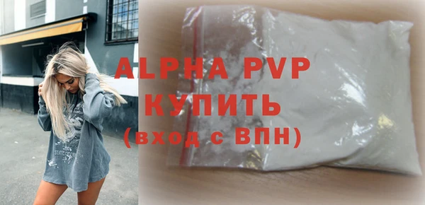 spice Богданович