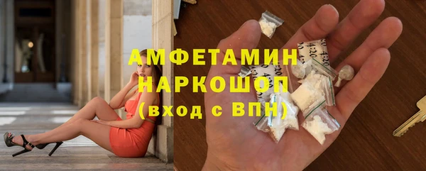 spice Богданович