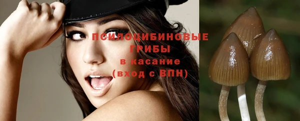 трава Богородицк