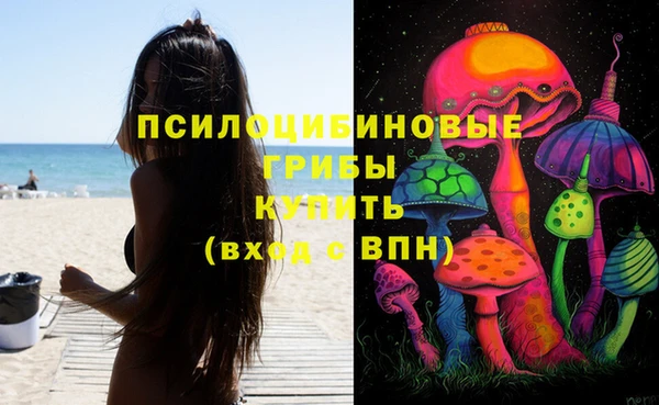 spice Богданович