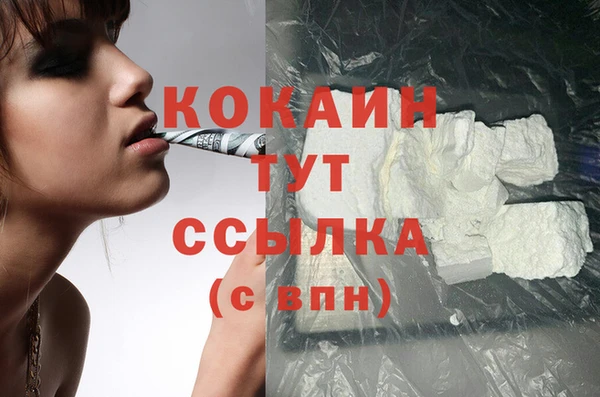 spice Богданович