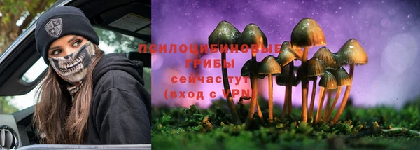 spice Богданович