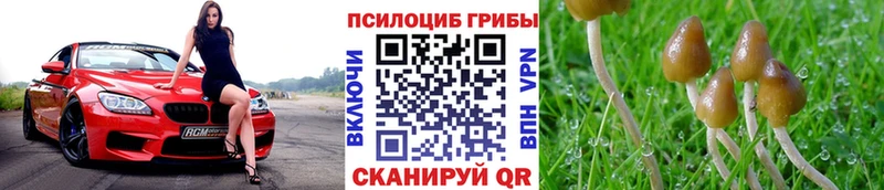 Псилоцибиновые грибы прущие грибы Высоковск